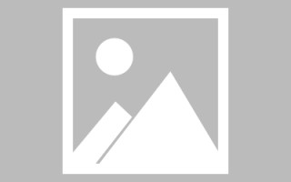 山东如何制作报表小程序（如何制作报表小程序软件）